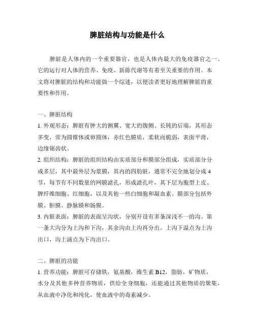 脾脏结构与功能是什么