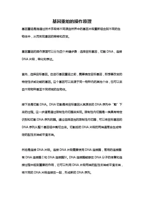 基因重组的操作原理