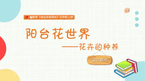 阳台花世界小学五年级综合实践PPT课件
