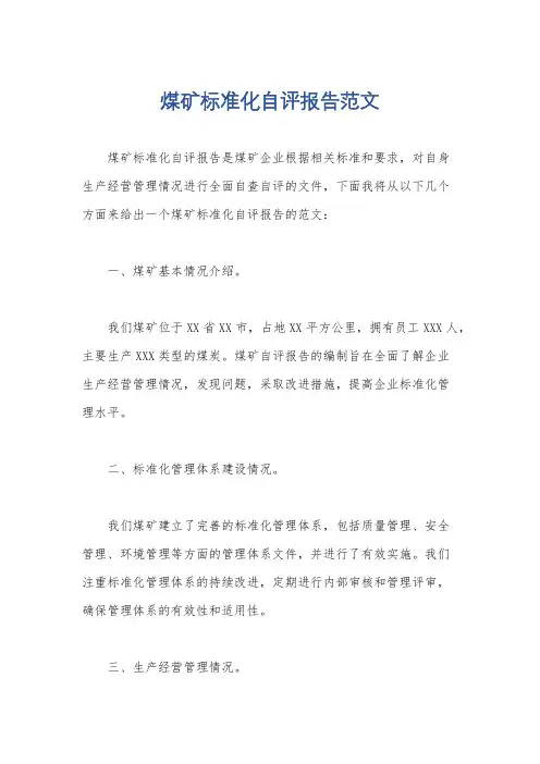 煤矿标准化自评报告范文