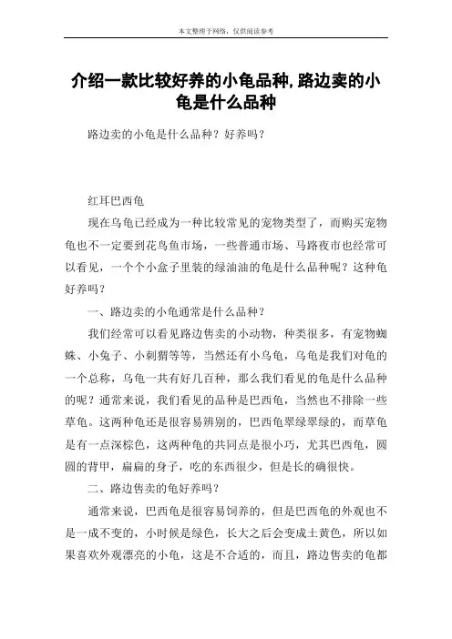 介绍一款比较好养的小龟品种,路边卖的小龟是什么品种