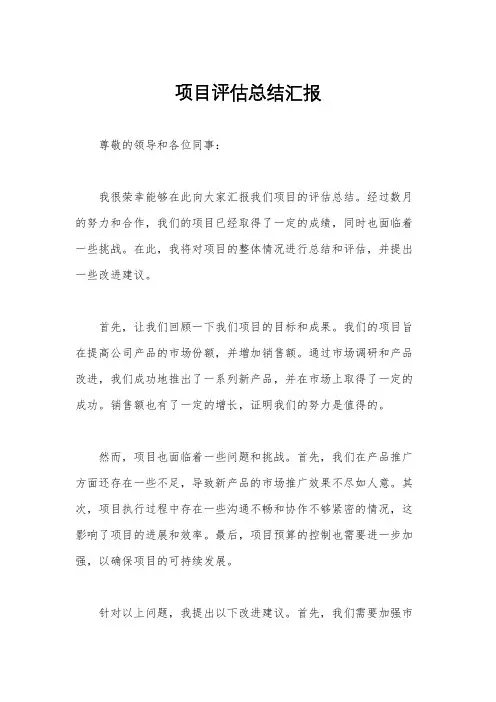 项目评估总结汇报