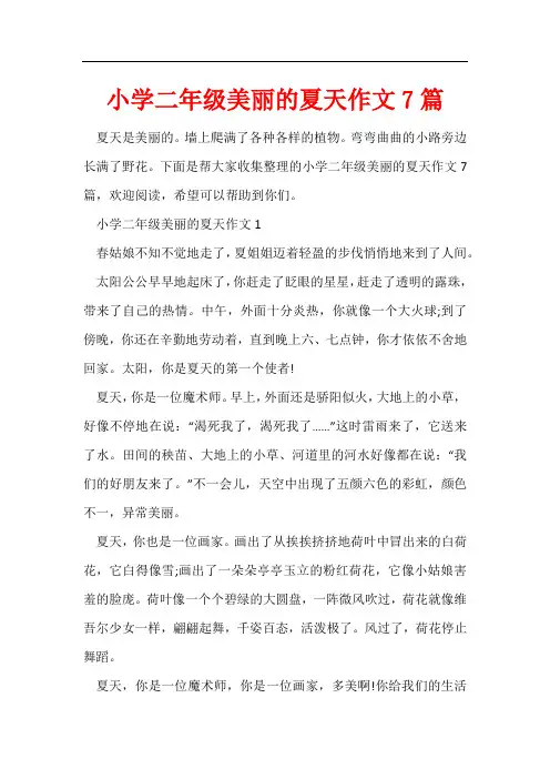 小学二年级美丽的夏天作文7篇
