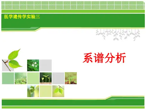 实验一系谱分析