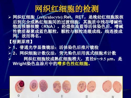 贫血的实验室检查-诊断学PPT课件
