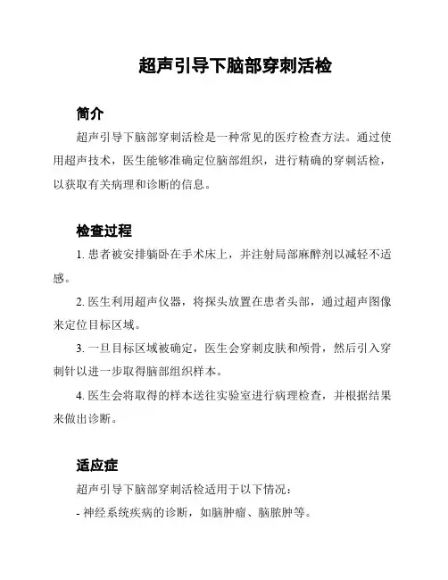 超声引导下脑部穿刺活检