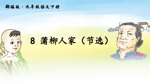 最新部编人教版九年级语文下册《蒲柳人家(节选)》精品课件ppt
