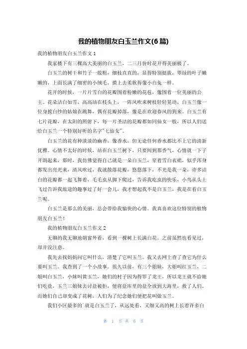 我的植物朋友白玉兰作文(6篇)