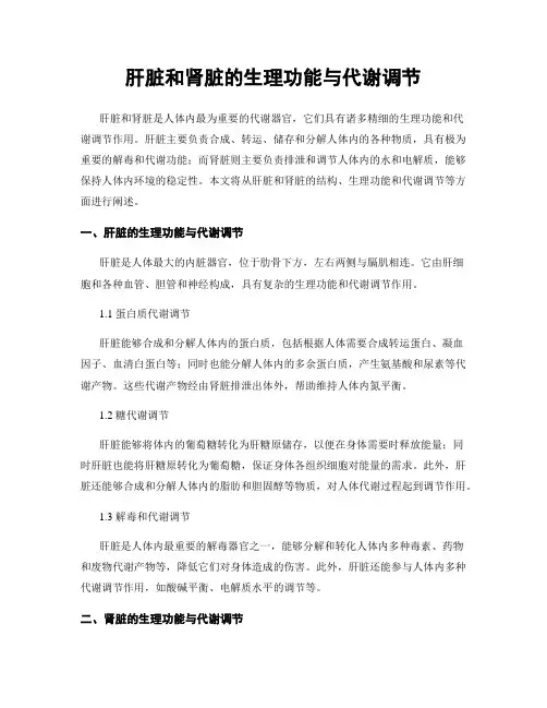 肝脏和肾脏的生理功能与代谢调节
