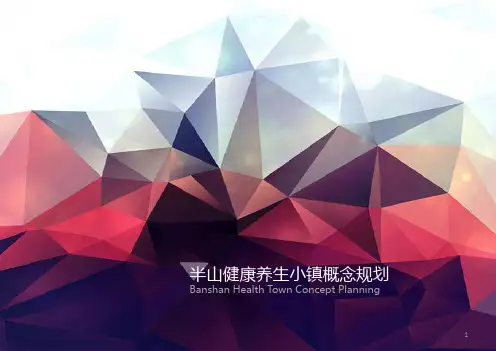 杭州特色小镇——半山健康养生小镇概念规划 PPT课件