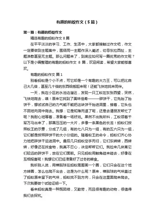 有趣的蚂蚁作文（5篇）