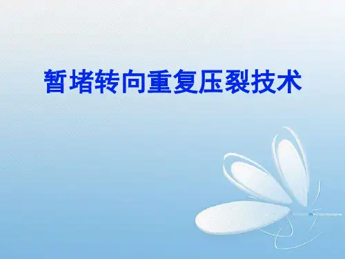 暂堵转向重复压裂技术(yida)