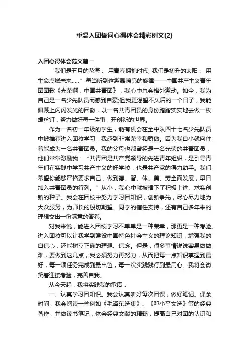 重温入团誓词心得体会精彩例文（2）
