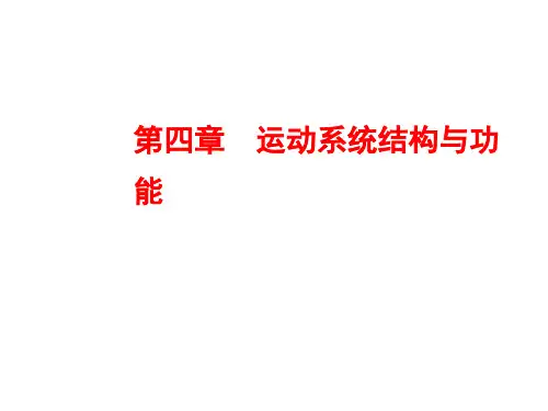 人体解剖生理学：第四章  运动系统结构与功能