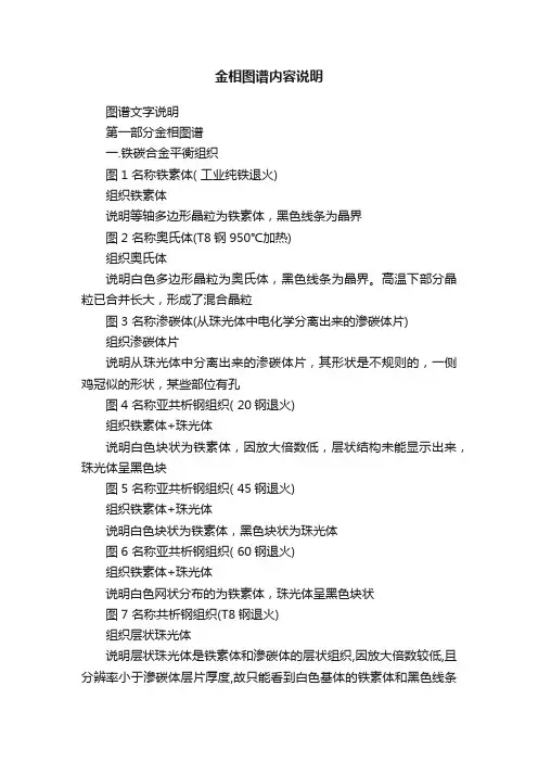 金相图谱内容说明