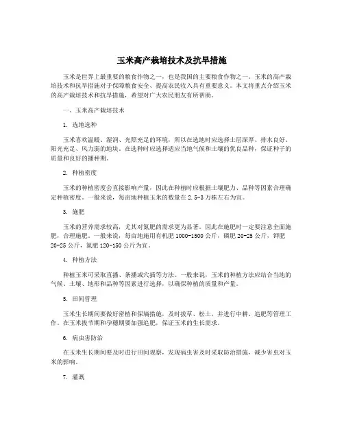 玉米高产栽培技术及抗旱措施