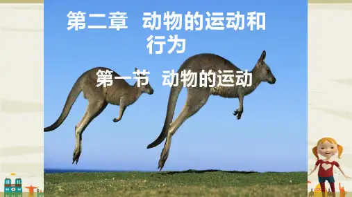 《动物的运动》公开课教学一等奖课件