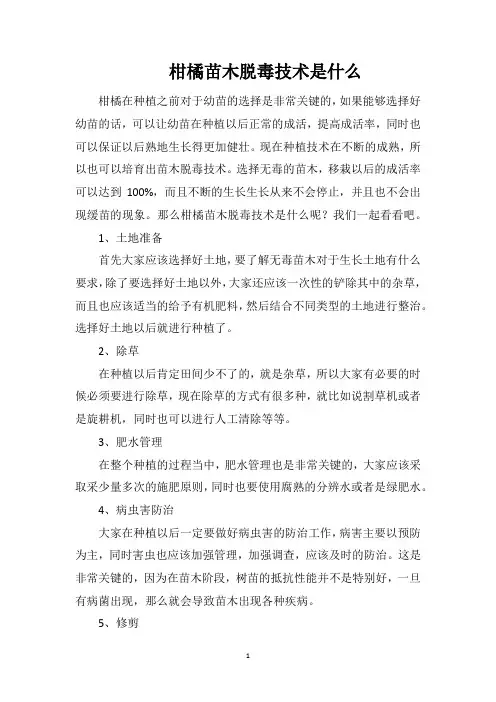 柑橘苗木脱毒技术是什么