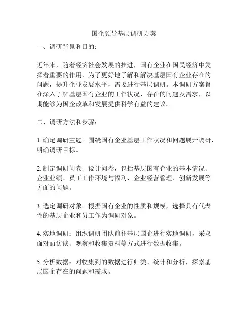国企领导基层调研方案