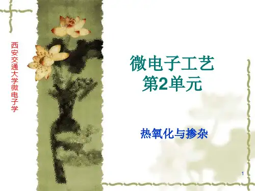 集成电路制造技术 西交大 工程硕士 热氧化