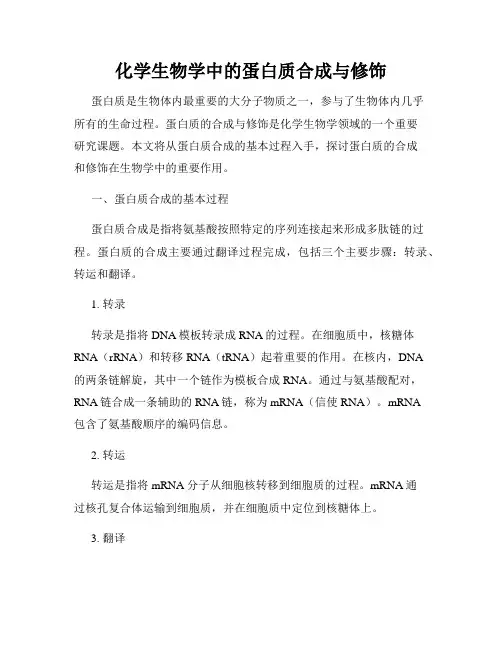 化学生物学中的蛋白质合成与修饰
