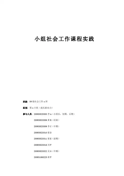 社会工作小组计划书