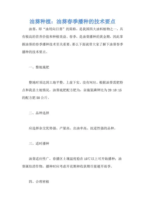 油葵种植：油葵春季播种的技术要点