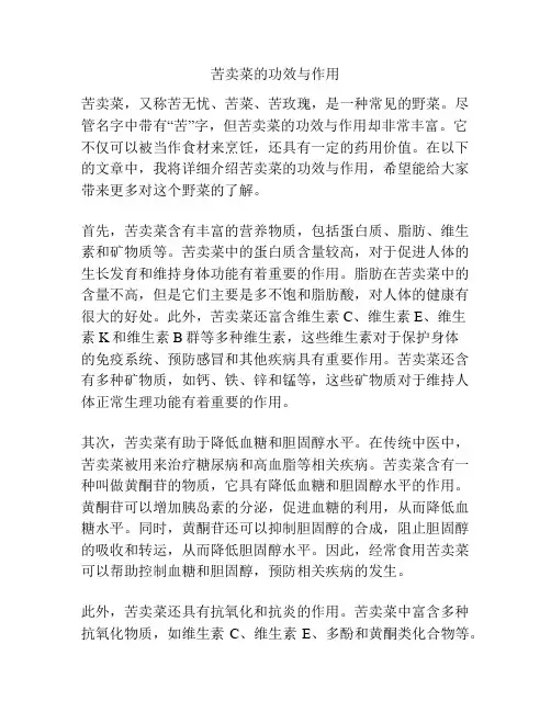 苦卖菜的功效与作用