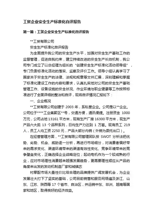 工贸企业安全生产标准化自评报告