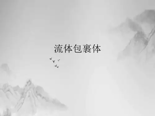 流体包裹体课件ppt