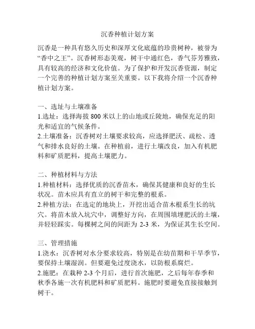 沉香种植计划方案