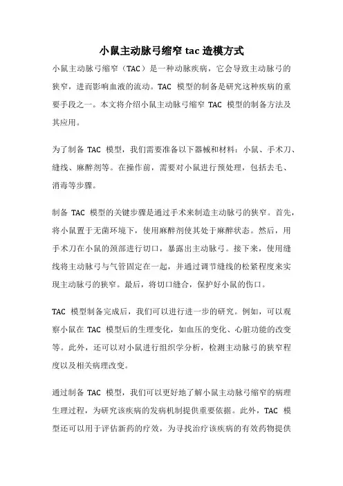小鼠主动脉弓缩窄tac造模方式