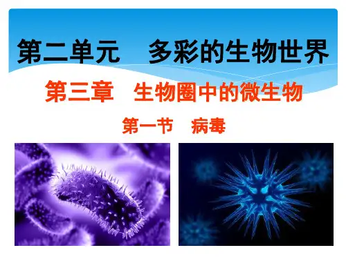七年级生物上册231病毒课件新版济南版
