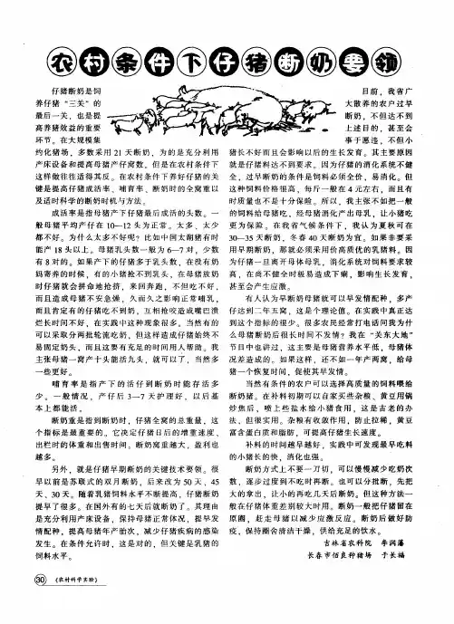 农村条件下仔猪断奶要领