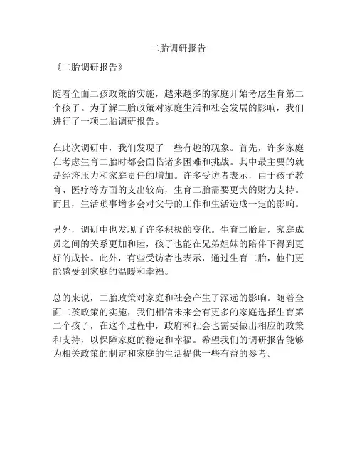 二胎调研报告
