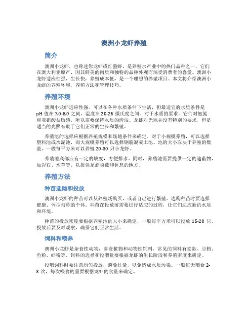 澳洲小龙虾养殖