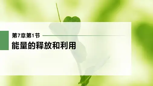 第一节能量的释放与利用课件苏科版生物七年级上册