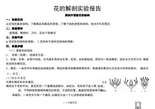花的解剖实验报告(干货分享)