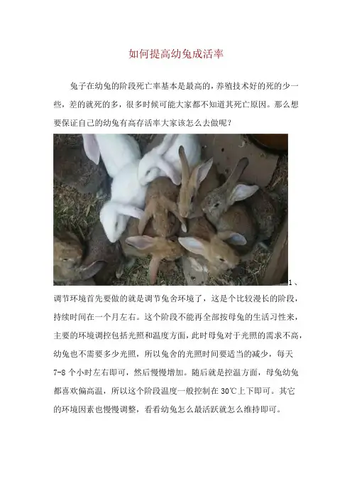 如何提高幼兔成活率