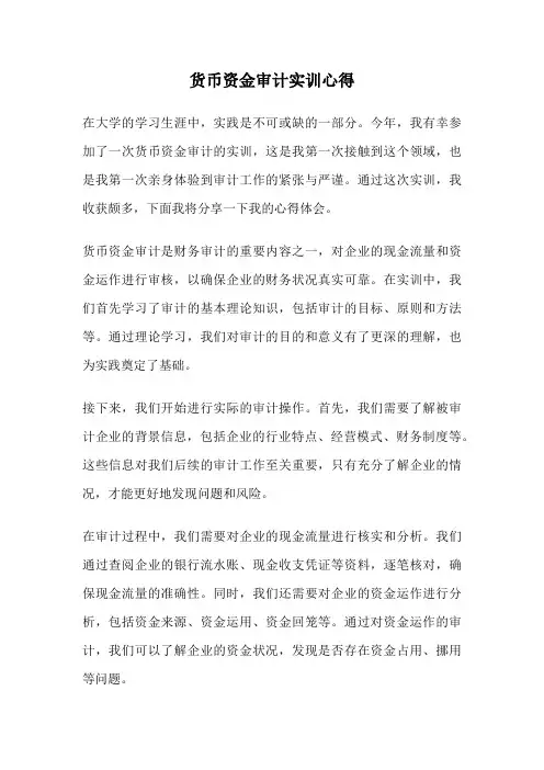 货币资金审计实训心得