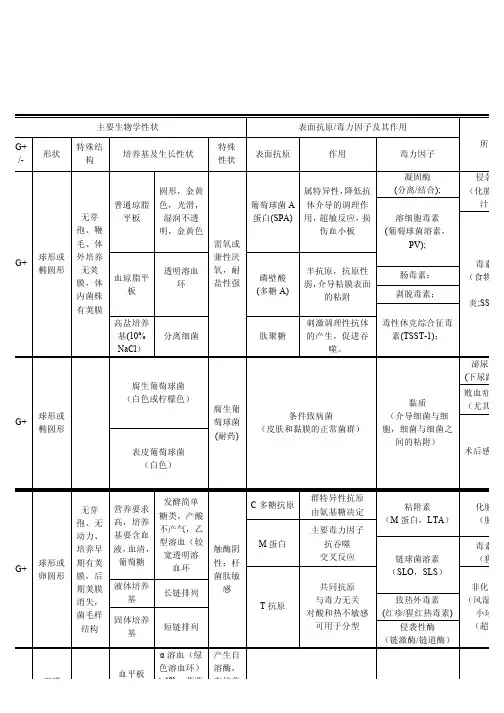 微生物整理表格