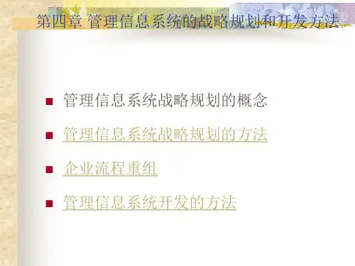 第四章管理信息系统的战略规划和开发方法