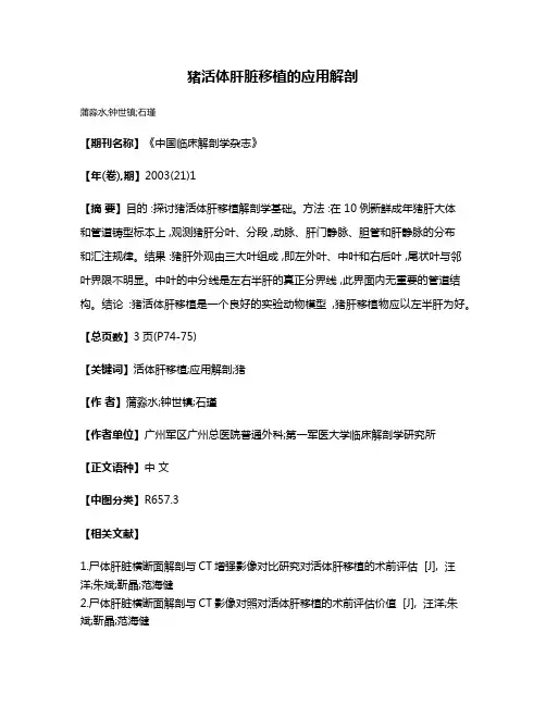 猪活体肝脏移植的应用解剖