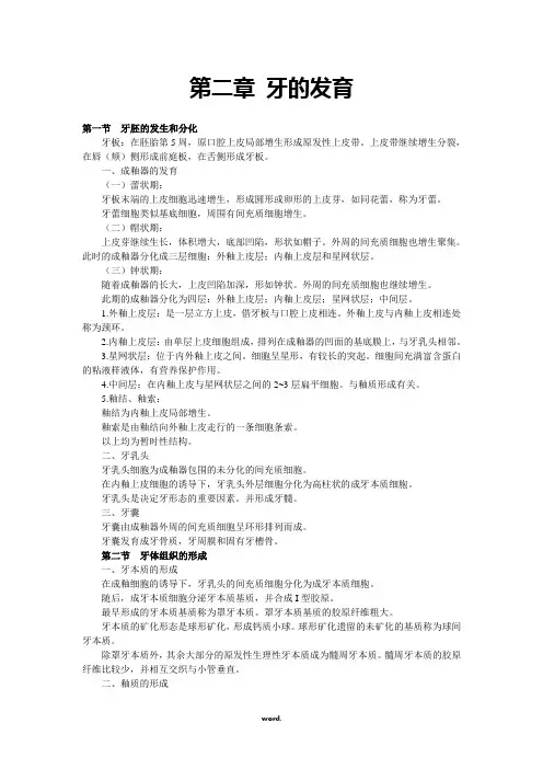 第二章 牙的发育精选.