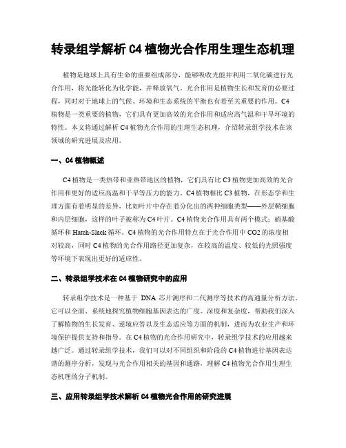 转录组学解析C4植物光合作用生理生态机理