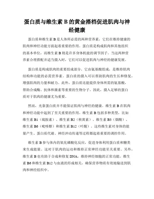 蛋白质与维生素B的黄金搭档促进肌肉与神经健康