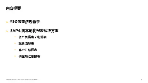 SAP中国本地化报表解决方案