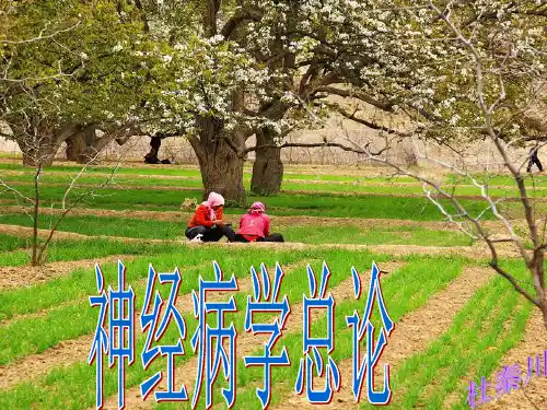 第一讲-神经病学总论-幻灯片-tyb