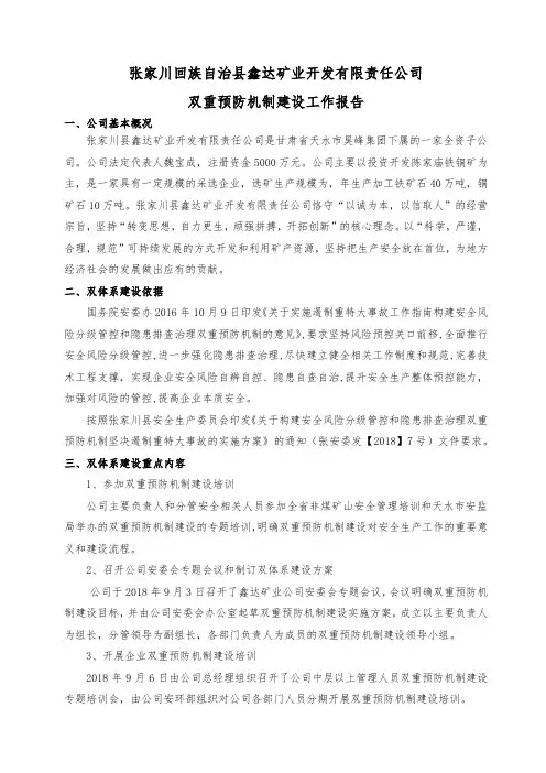 双重预防机制建设工作报告