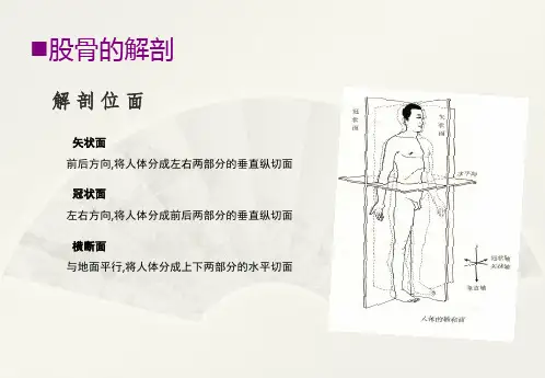 股骨重建带锁髓内钉培训资料